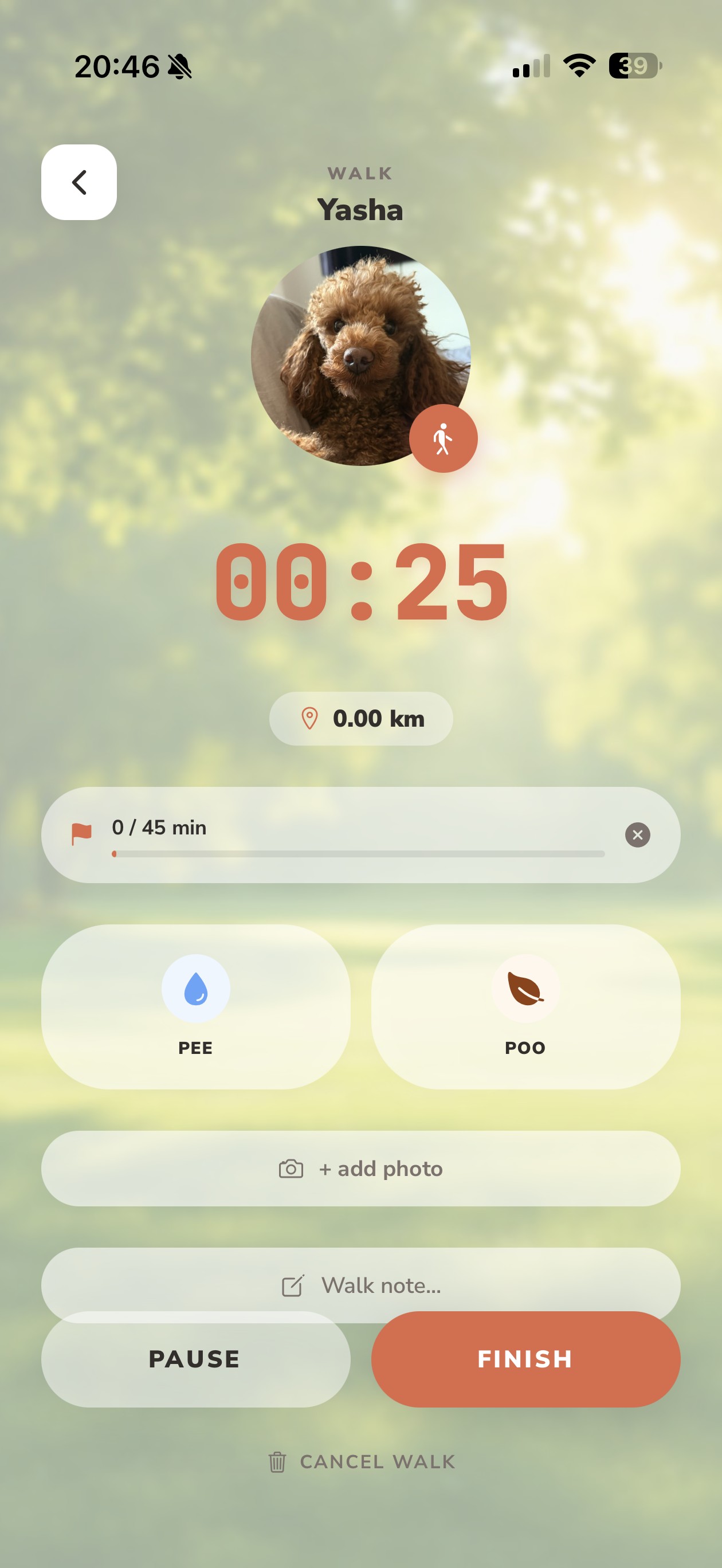Active Lapka walk with time, distance, goal, potty, photo, and note controls