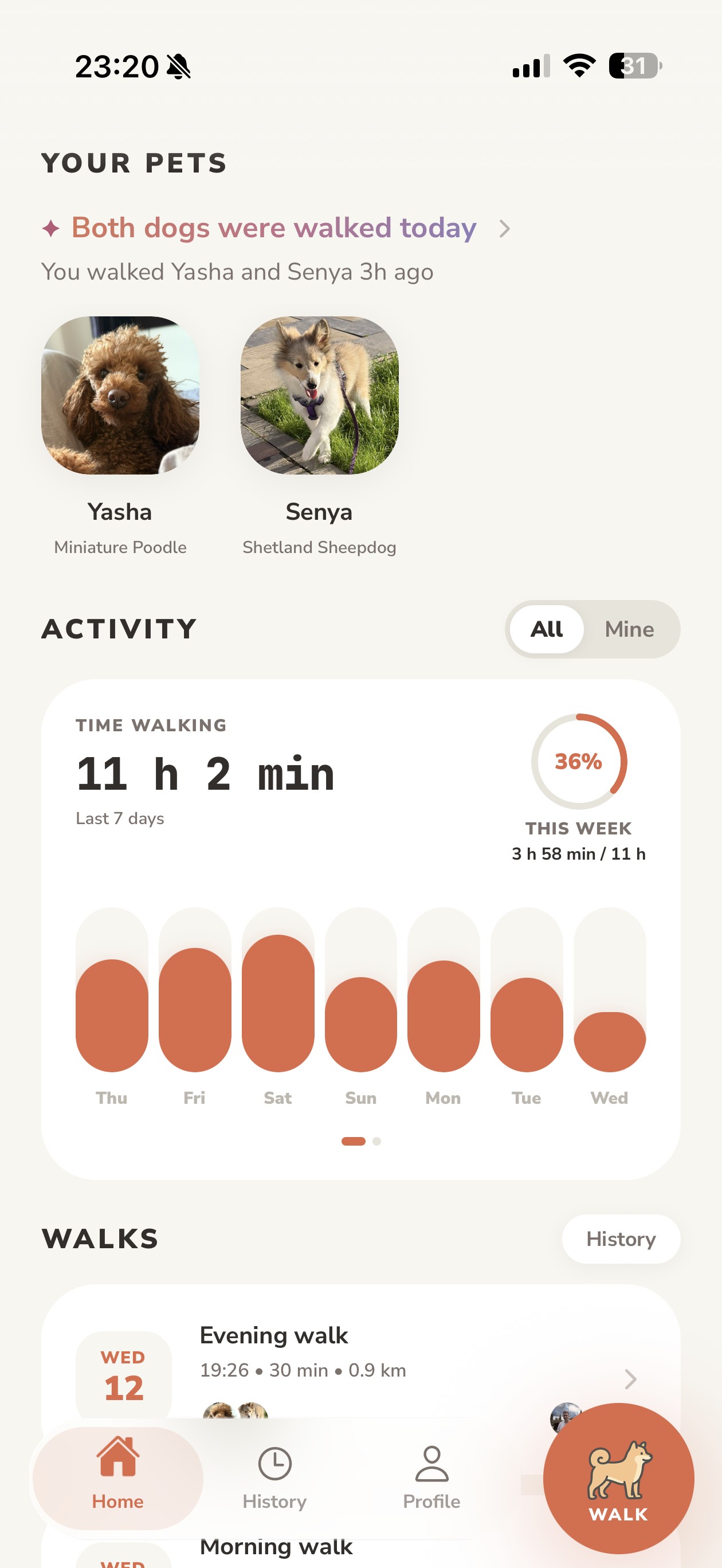 Lapka home screen with pets, weekly walking progress, and recent walks