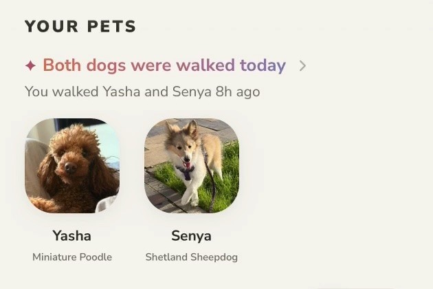 Lapka shared care overview showing the last walk and complete portraits of Yasha and Senya